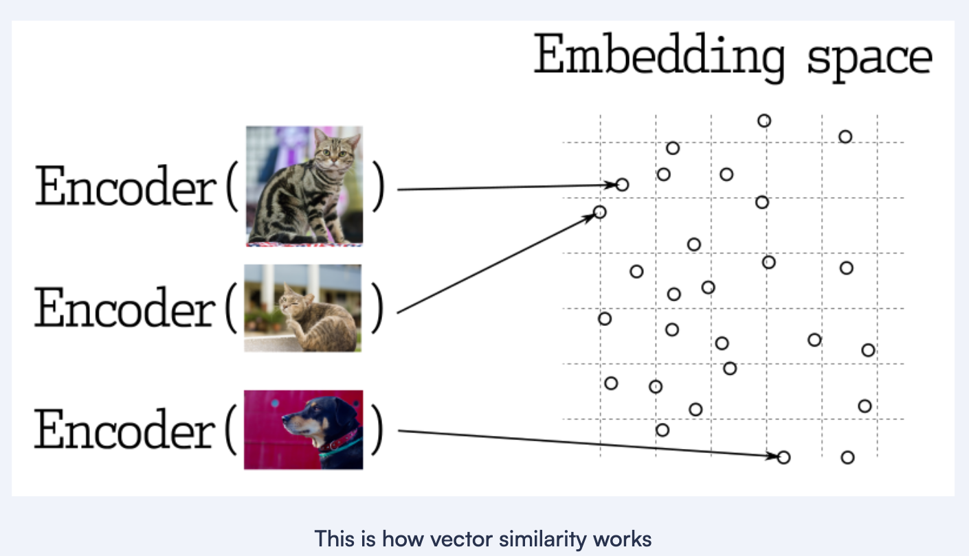 image-20241106235035852